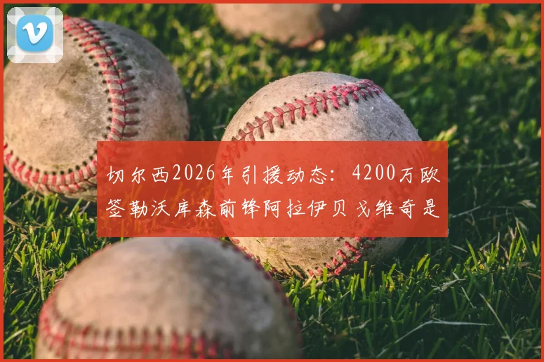切尔西2026年引援动态：4200万欧签勒沃库森前锋阿拉伊贝戈维奇是真的吗？深度解析球员技术特点与德甲数据