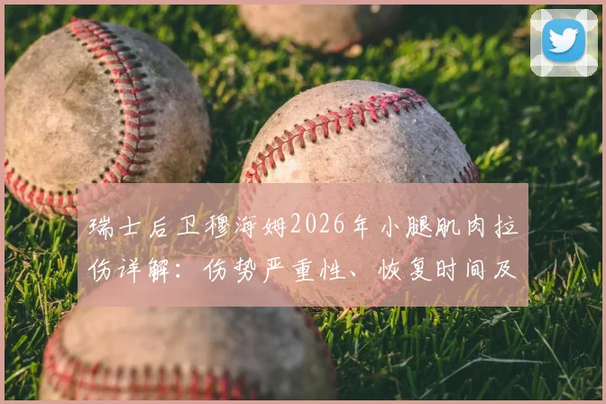 瑞士后卫穆海姆2026年小腿肌肉拉伤详解：伤势严重性、恢复时间及对波黑战影响分析